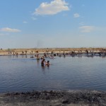 DSC00767
