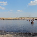 DSC00768