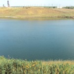 DSC00780