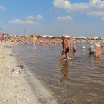 DSC00832